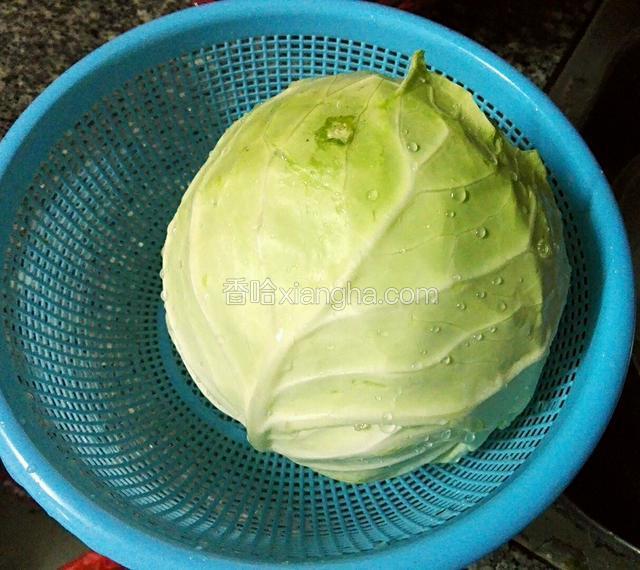 圆椰菜一个
