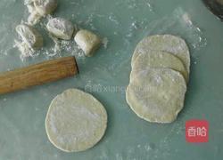 猪肉青菜香菇饺的做法图解7