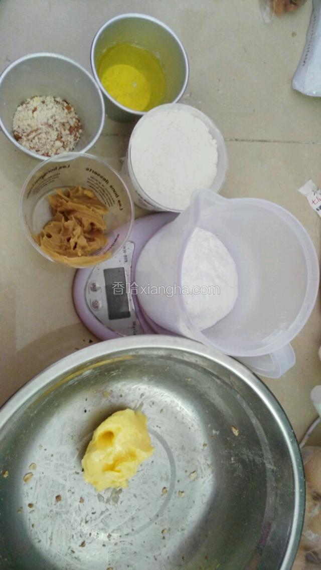 材料全照