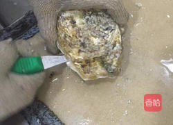 刺身法国诺曼第黄金生蚝的做法图解2