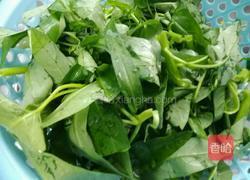 蒜蓉空心菜的做法图解1