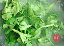 凉拌田七的做法图解2