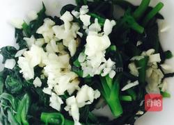 凉拌田七的做法图解3