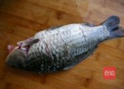 鲫鱼豆腐汤的做法图解1