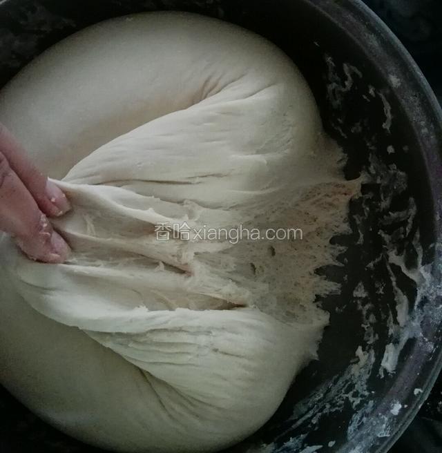 发酵好的面有蜂窝状