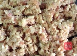 梦幻彩色饺子的做法图解7