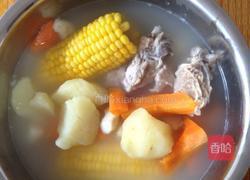 紅蘿蔔土豆湯的做法图解3