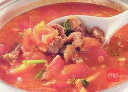西红柿牛腩汤的做法图解11
