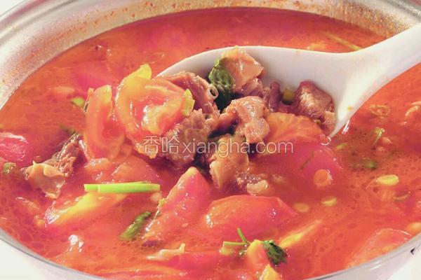 西红柿牛腩汤