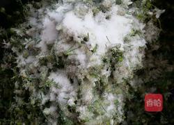 韭菜花酱的做法图解4