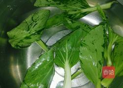 青菜油饼的做法图解1