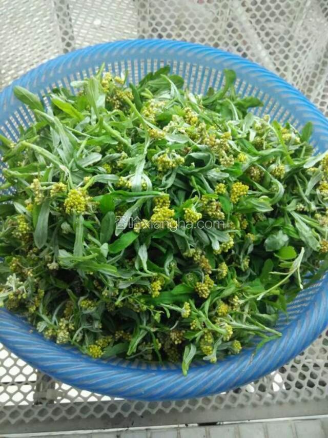 黄花梦洗净，加入少许的水用压力锅压煮15分钟