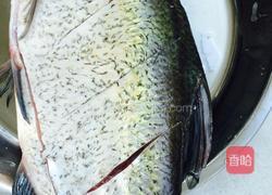 红烧鳊花鱼的做法图解2