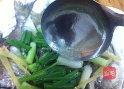 清蒸泥猛鱼的做法图解9