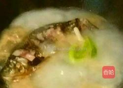 鲫鱼萝卜丝汤的做法图解5
