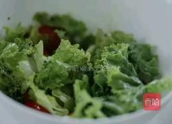 香煎猪排佐缤纷蔬菜沙拉的做法图解13