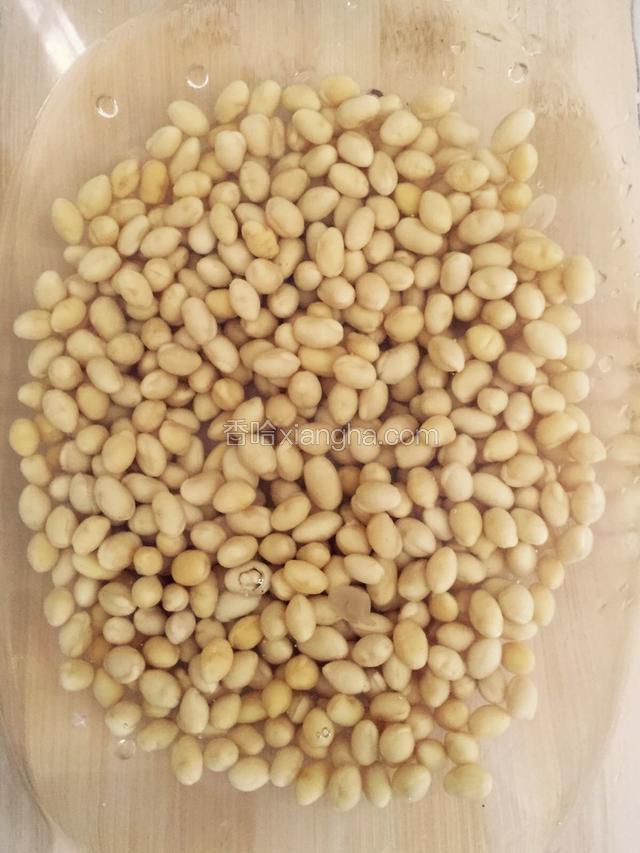 将黄豆洗净发泡