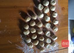 酥肉饼 (苏式鲜肉月饼)的做法图解4