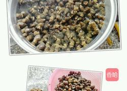 紫苏炒石螺的做法图解1