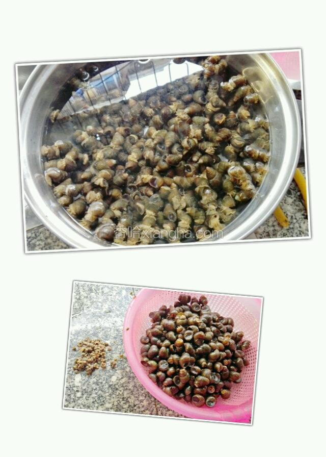 石螺买回来用清水养一天，中间换几次水。然后洗一下拿钳子把尾部剪掉