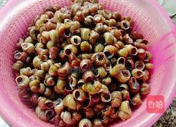 紫苏炒石螺的做法图解4