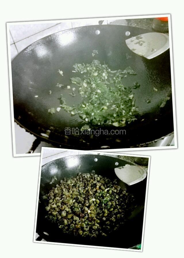 锅预热入两勺茶籽油，油温热后放入姜，蒜，紫苏炒香，倒入石螺炒几分钟，倒入适量水盖上盖子煮一下