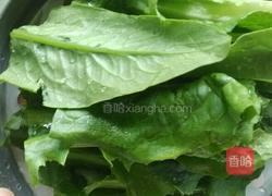 西红柿排骨面的做法图解3