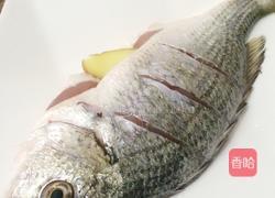 清蒸黄刺鱼的做法图解2