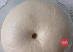 鲜奶排包的做法图解4