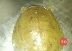 冰糖甲鱼（家庭板）的做法图解1