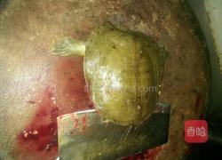 冰糖甲鱼（家庭板）的做法图解2