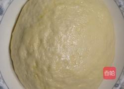 夏威夷披萨🍕的做法图解10