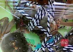 清蒸大闸蟹的做法图解2