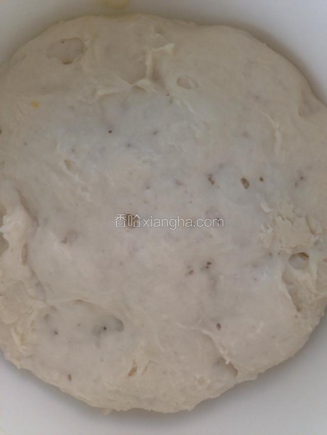 中种材料混合成团，发2倍大，冷藏一晚备用。