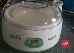 自制酸奶的做法图解4