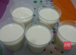 自制酸奶的做法图解6