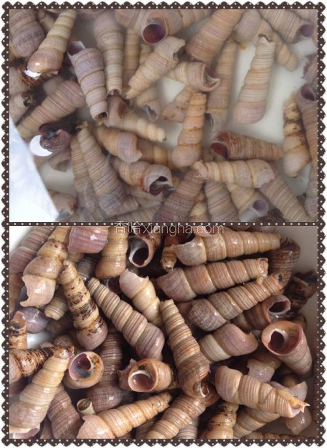 把钉螺洗干净，放在水里泡半个小时，捞起装盘备用
