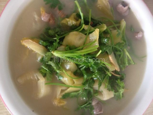 把锅里的汤倒在香菜上，一盘美味的酸菜钉螺煲就可以开动了