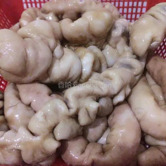 卤过的肥肠用一根筷子能戳进去就差不多了，捞出。
