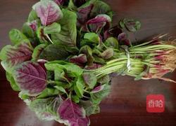 蒜蓉苋菜的做法图解1