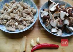 香菇闷鸡肉的做法图解2