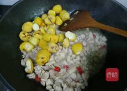 板栗烧鸡的做法图解4