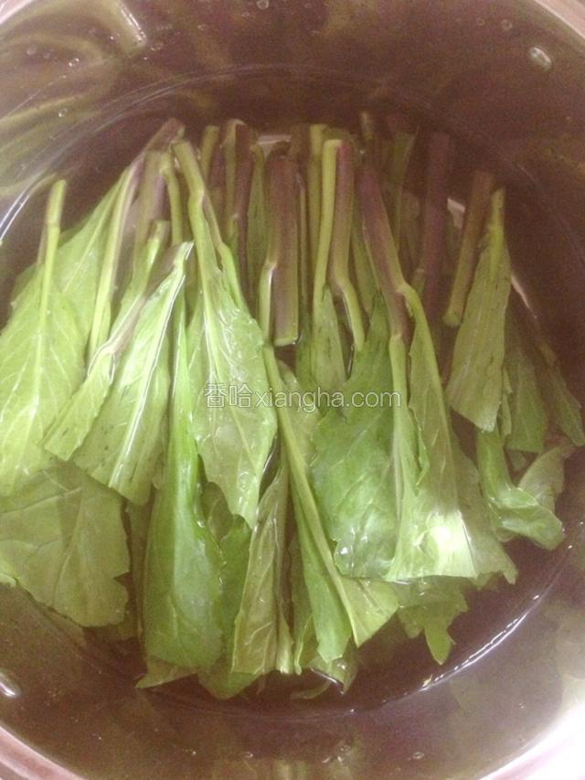 芥兰洗净泡水10分钟（加半勺盐）