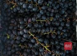 野生葡萄酒的做法图解1