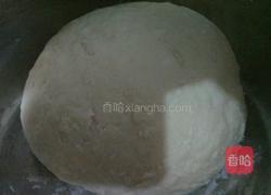 羊肉洋葱饼的做法图解1