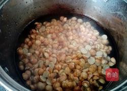 莲子糖水的做法图解4