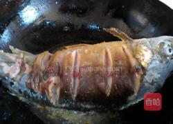 红烧鲤鱼的做法图解4