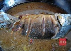 红烧鲤鱼的做法图解6