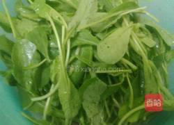 鲜虾金银蛋浸萝卜苗的做法图解2