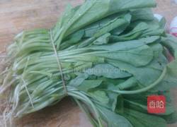 鲜虾金银蛋浸萝卜苗的做法图解1